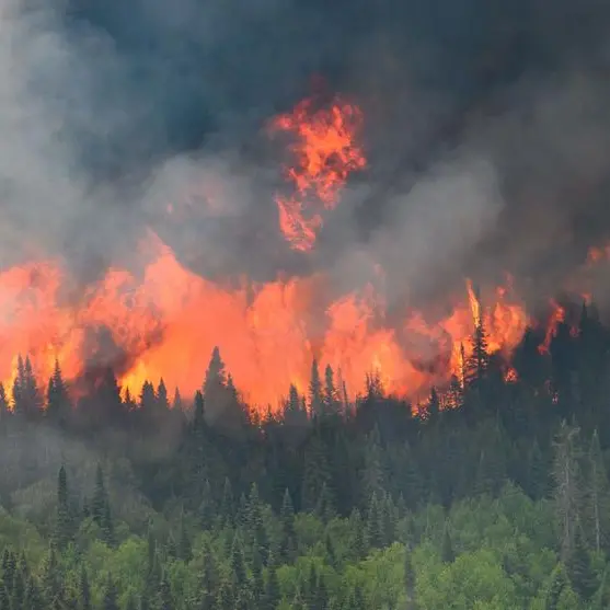 US to send satellite data to Canada to help detect wildfires