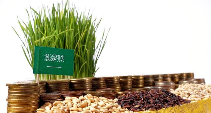 السعودية تنهي ترسية مناقصة شراء القمح من المستثمرين بالخارج لـ 2022