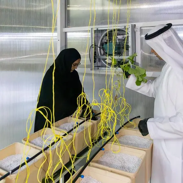 AJBWC completes second plastic greenhouse project, and encourages members to benefit from initiative