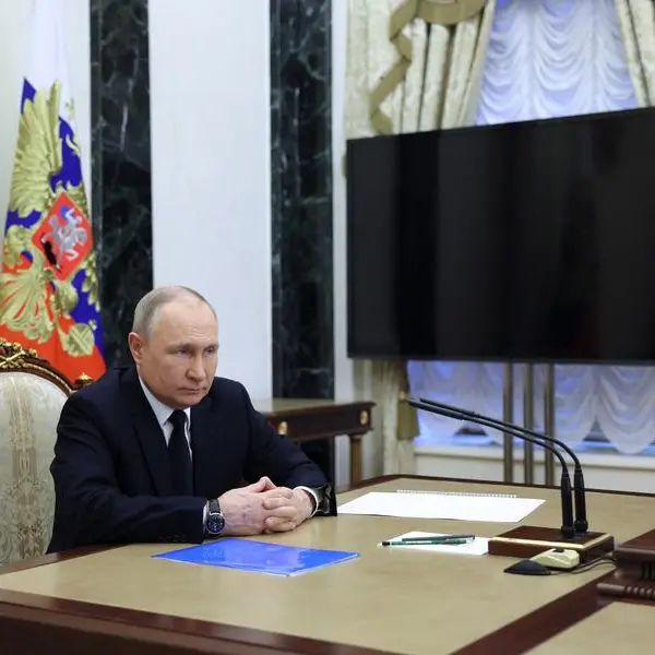 Putin and Erdogan held phone call, discussed grain deal