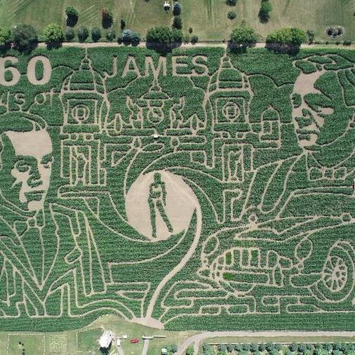 'World's largest corn maze' celebrates 60 years of James Bond