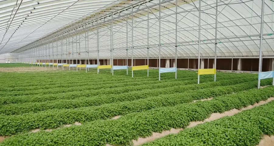 The National Agriculture Center and Sheraa launch Agriboost 2026 to advance sustainable agriculture solutions