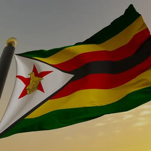 Zimbabwe’s Political Shadow Play: A Distraction from Economic Turmoil