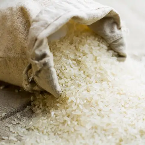 UAE announces temporary suspension of rice exports