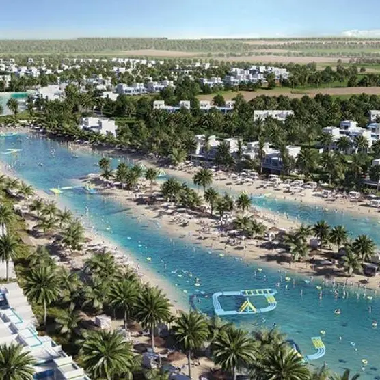 Dubai's Damac Properties awards consultancy contracts for Lagoon project\n