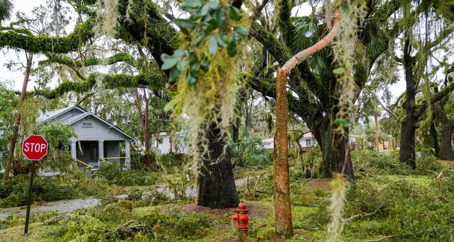 Orange juice prices near all-time high as storm hits Florida