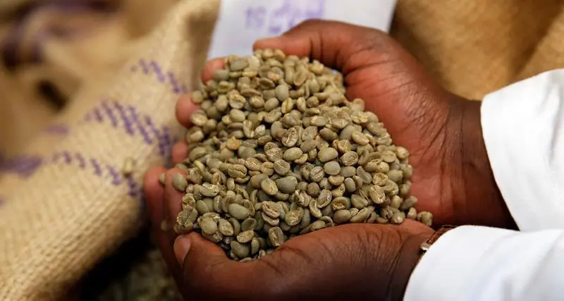 Uganda coffee exports up 23% y/y in Jan - UCDA