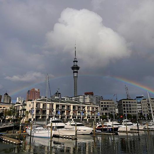 Magnitude 5.6 quake strikes New Zealand, shakes capital Wellington