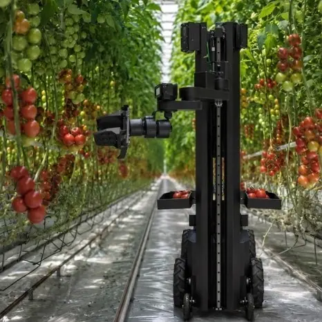 Egrobots unveils the first autonomous harvesting robot in Egypt and the Arab world
