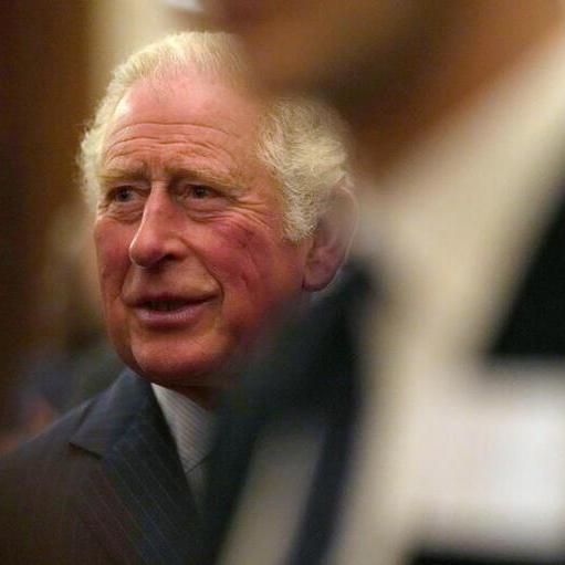 UKs Prince Charles replaces queen on Mideast trip
