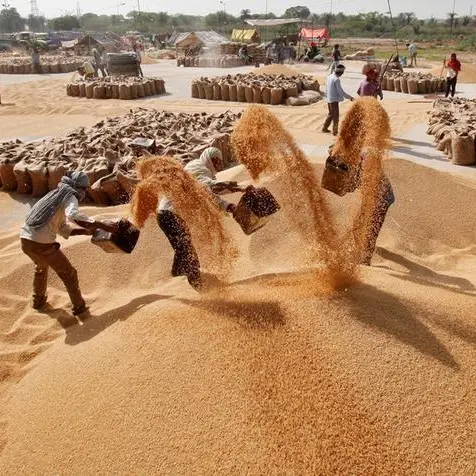 India should keep lid on wheat exports to replenish local stocks - flour millers