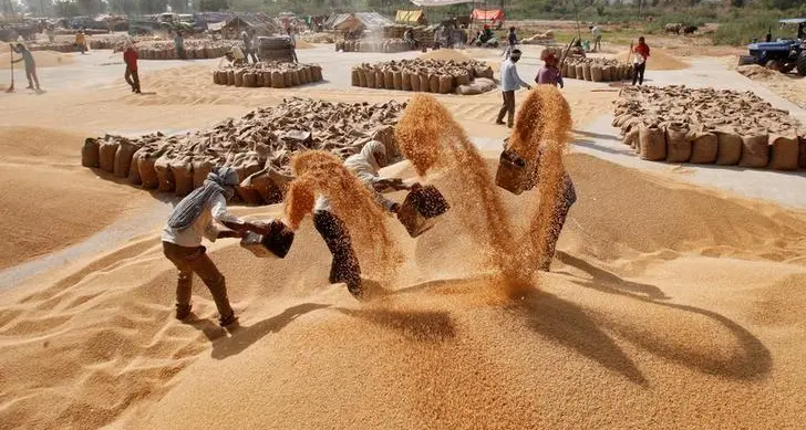 India should keep lid on wheat exports to replenish local stocks - flour millers