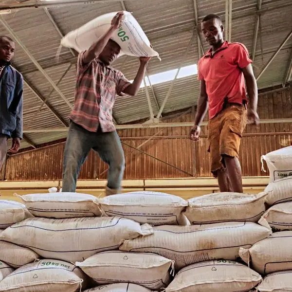 African smallholder farmers count the cost of fertilizer price spike