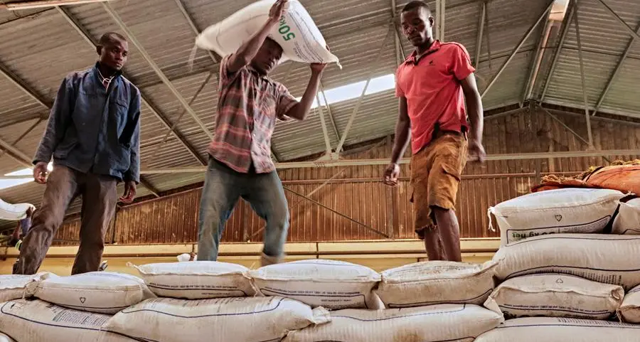 African smallholder farmers count the cost of fertilizer price spike