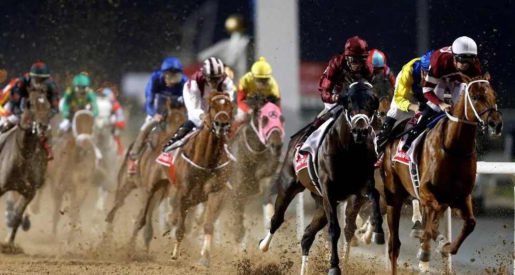 Dubai World Cup among four events to win five-star rating