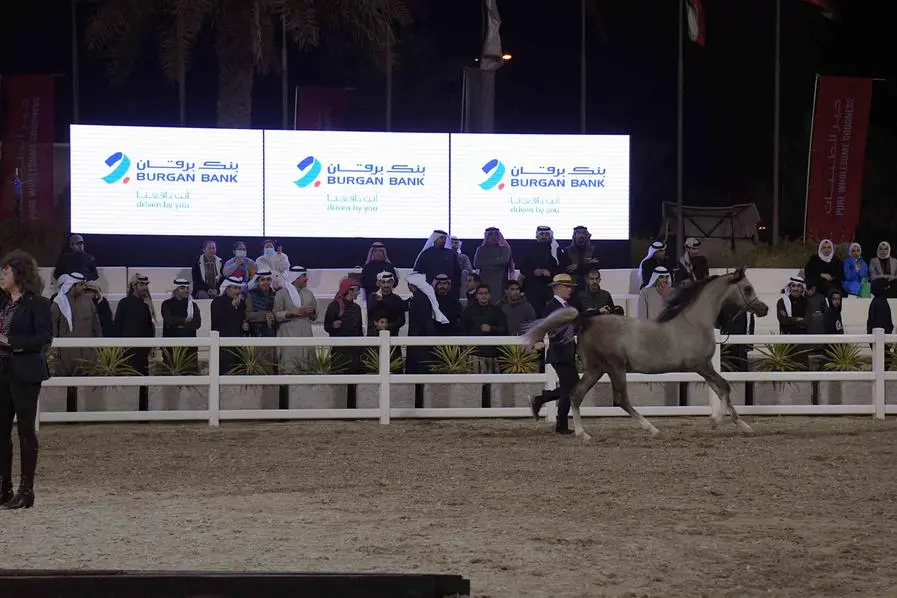 <p>Arabian Horse Championship 2022,&nbsp;Image used for illustrative purpose.</p>\\n