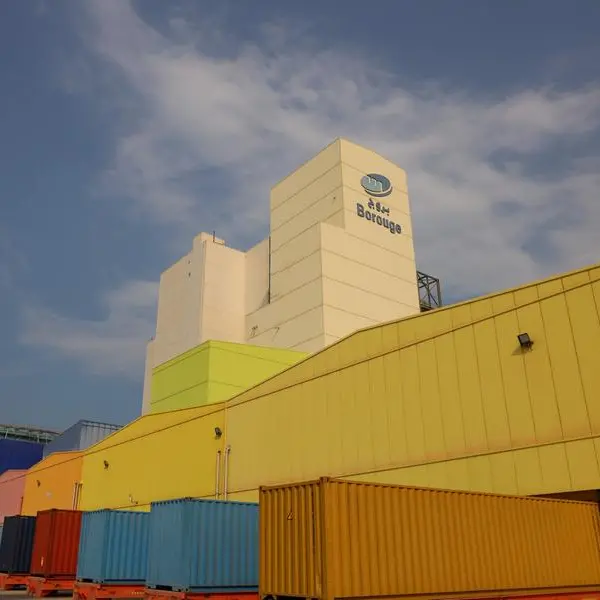 Borouge 4 mega project to support UAE energy sector with first batch of materials