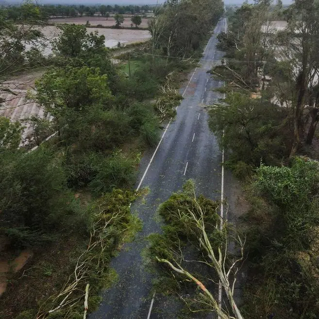 Coastal areas of India's Gujarat state return to normalcy after cyclone