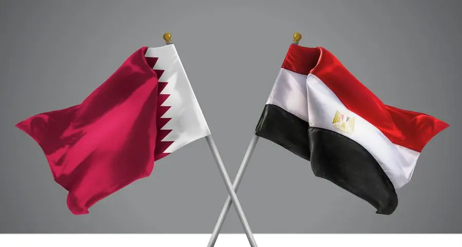 Qatar, Egypt hold bilateral talks in civil aviation