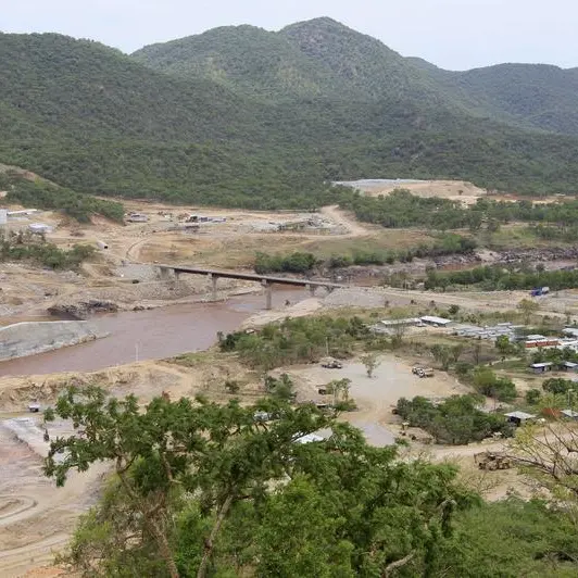 Except Sudan, Arabs back Egypt over GERD tensions