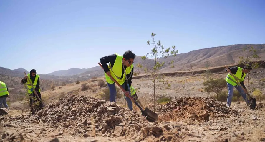 Saudi Arabia calls for strengthening regional collaboration to protect environment and enhance vegetation cover