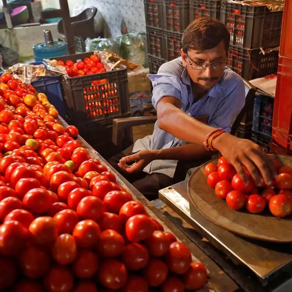 Tomato price shock hits Indian restaurants, cheaper puree sales boom