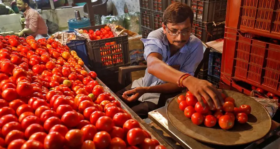 Tomato price shock hits Indian restaurants, cheaper puree sales boom