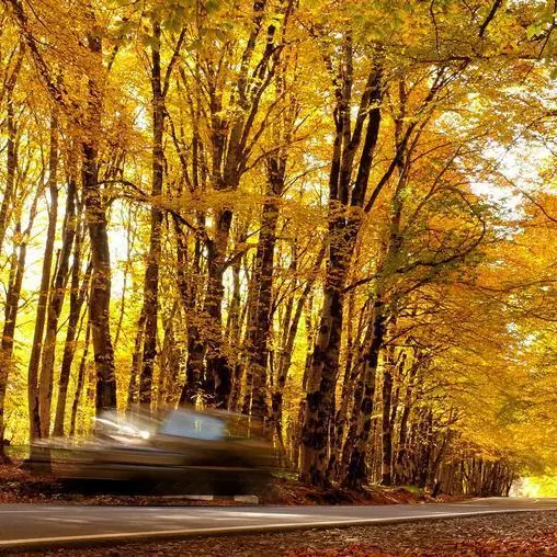 From Russia with cash: Georgia booms as Russians flee Putin's war