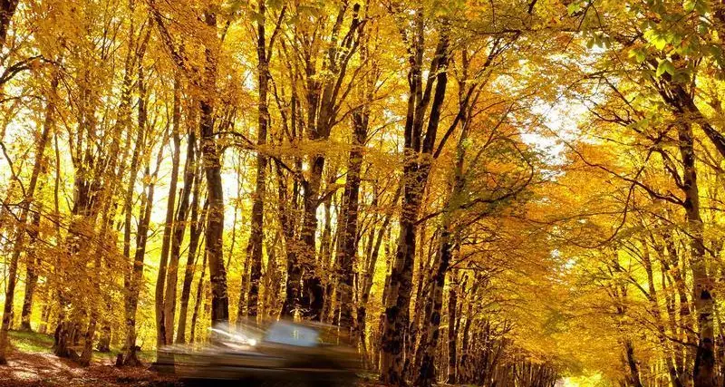 From Russia with cash: Georgia booms as Russians flee Putin's war