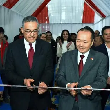 Vietnam’s EuroPlas opens filler masterbatch plant in Egypt