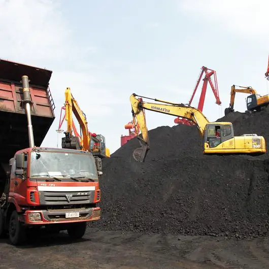 China December coal imports set to slump on new curbs -traders
