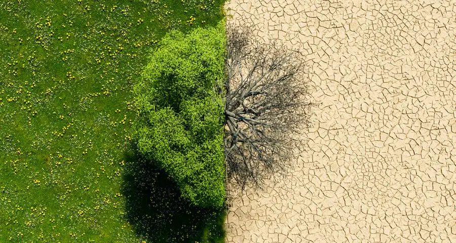 New study reveals global warming amplifies extreme day-to-day temperature swings