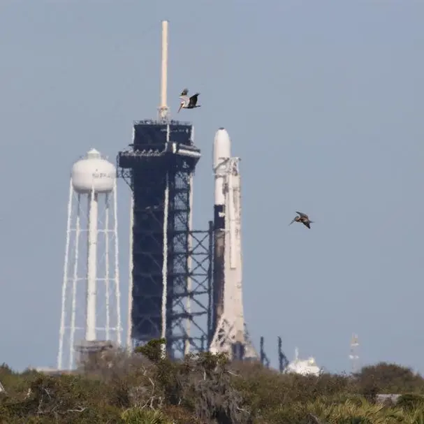 Launch of private US moon lander postponed by technical glitch in Florida