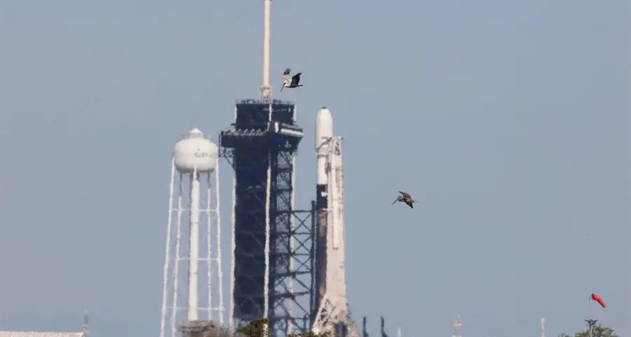 Launch of private US moon lander postponed by technical glitch in Florida