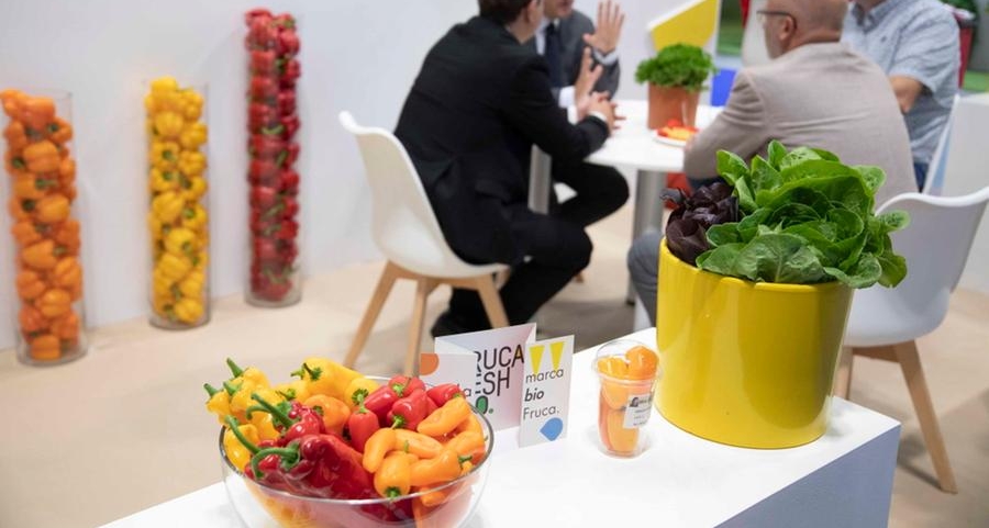 Fruit Attraction 2022 confirms the participation of 1,700 exhibitors