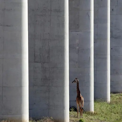 Uganda drops Chinese firm from railway deal, eyes Turkish rival