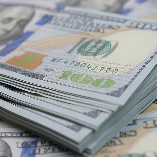 First auction of federal treasury bonds achieves bids worth $2.6bln