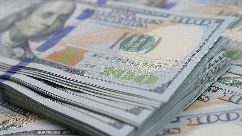 First auction of federal treasury bonds achieves bids worth $2.6bln