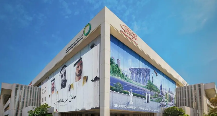 DEWA’s electricity transmission and distribution lines reached 42,586.71 kms last year