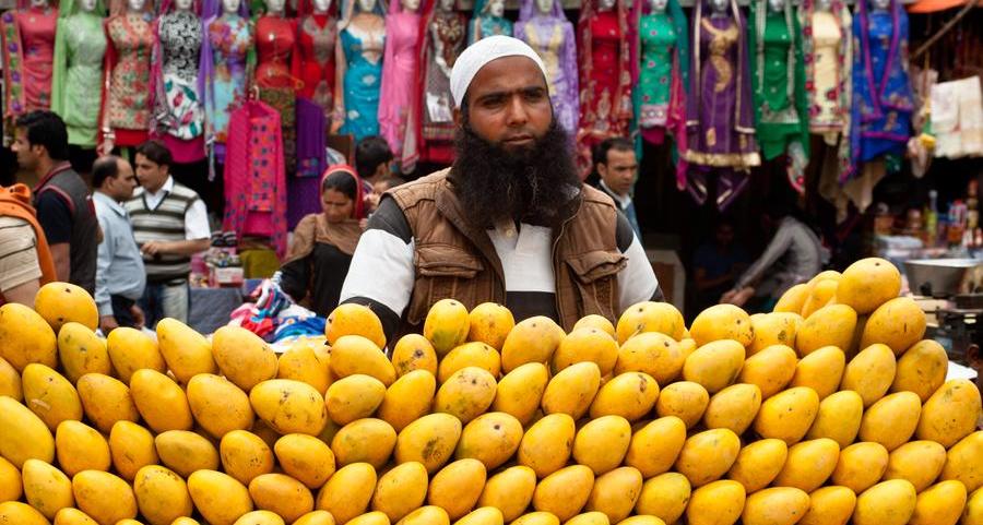 Dubai: Pakistan Mango Festival to be held next week; free entry for visitors