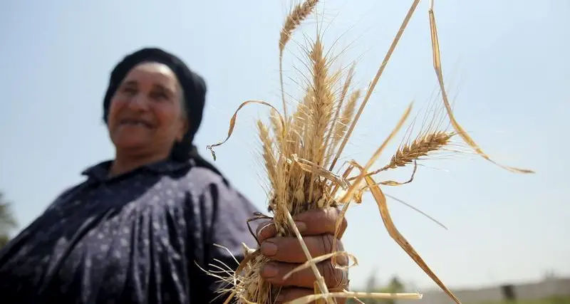 Egypt's GASC may use up to $1bln of ITFC funding for wheat - senior govt source