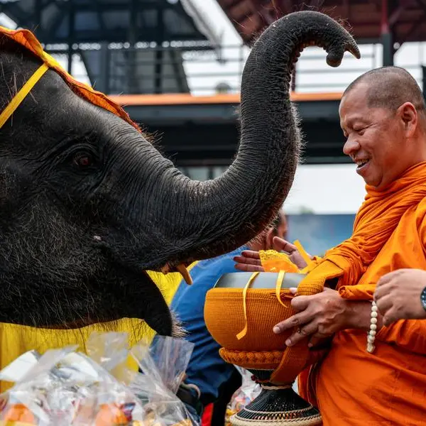 Elephants honoured in Thailand as part of nation's heritage