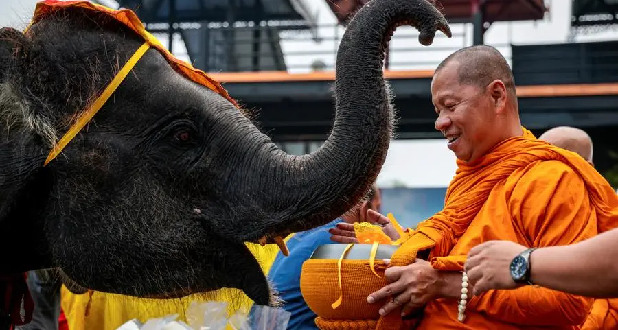 Elephants honoured in Thailand as part of nation's heritage