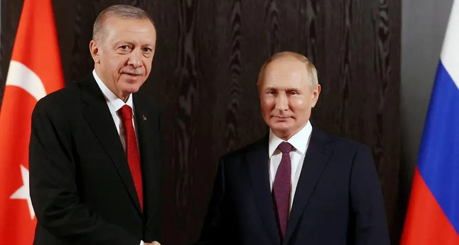 Erdogan, Putin to discuss Ukraine and grain deal during Turkey visit -minister