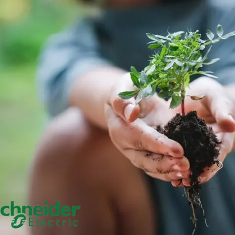 Schneider Electric sustainability impact program continues progressing in Q1 2024