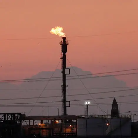 Egypt Gas obtains board’s nod for capital hike