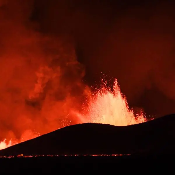 Volcano erupts in southwest Iceland after weeks of earthquakes