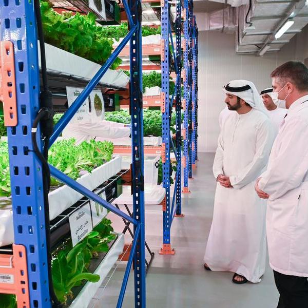 Hamdan bin Mohammed tours Bustanica, world’s largest vertical farm in Dubai