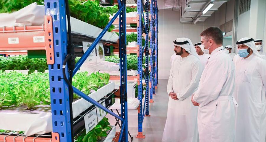 Hamdan bin Mohammed tours Bustanica, world’s largest vertical farm in Dubai