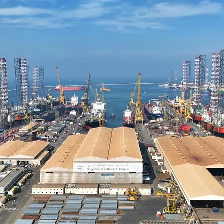 'Drydocks World is operating at full capacity, yard fully booked up to August' – CEO\n